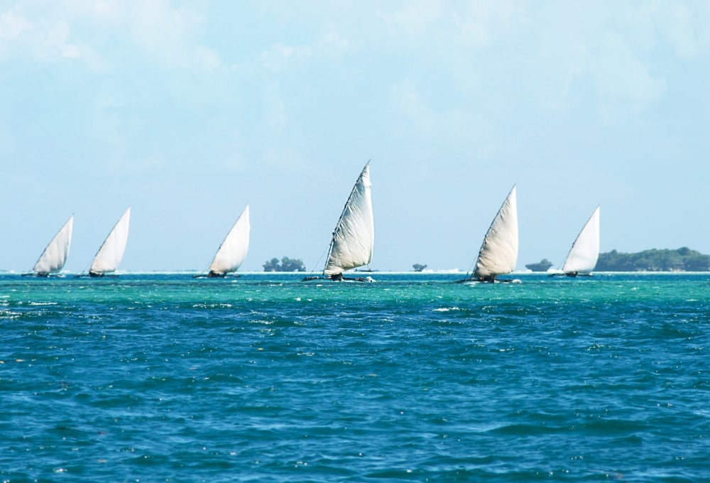 Segelturn vor Sansibar
